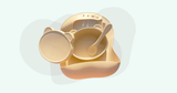 Bowl, Bib and Spoon Weaning Set
