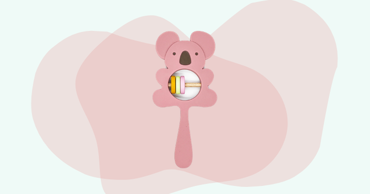 Koala Baby Silicon Teether Rattle